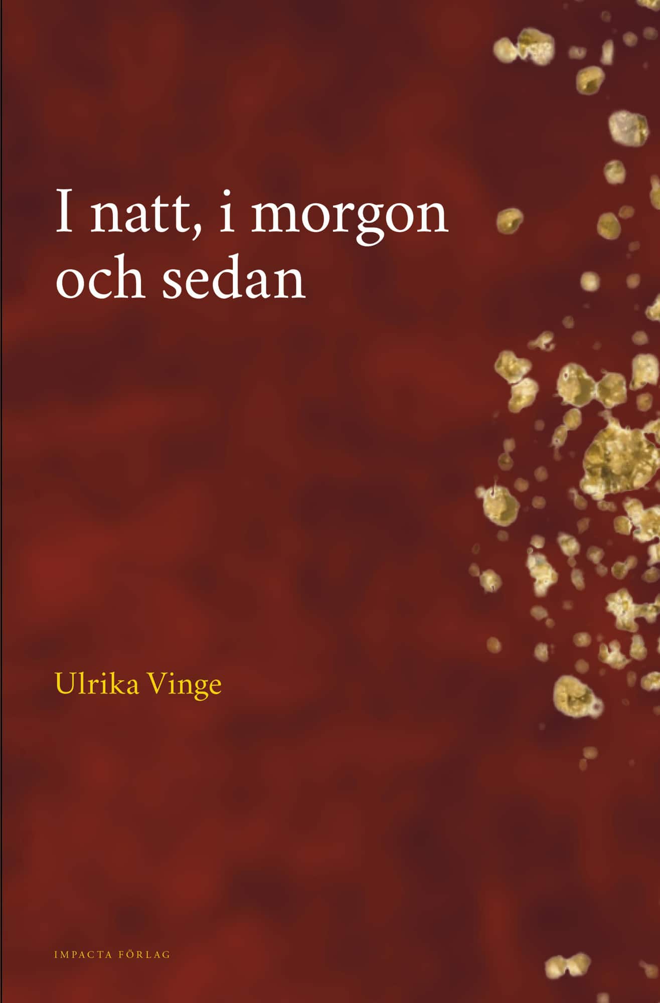 I natt, i morgon och sedan av Ulrika Vinge