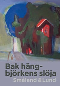 Bak hängbjörkens slöja : Småland & Lund
