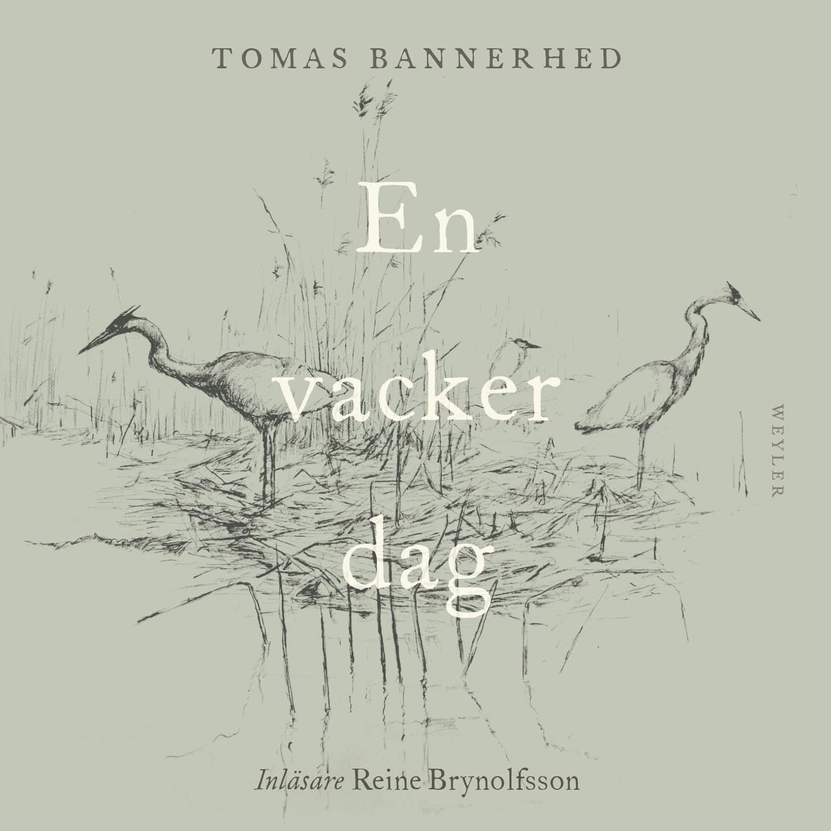 En vacker dag av Tomas Bannerhed