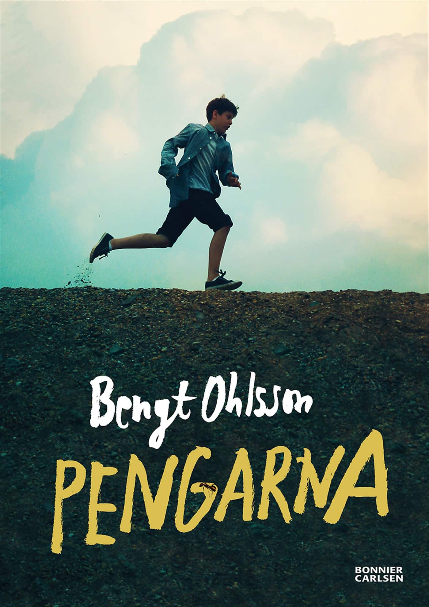 Pengarna av Bengt Ohlsson