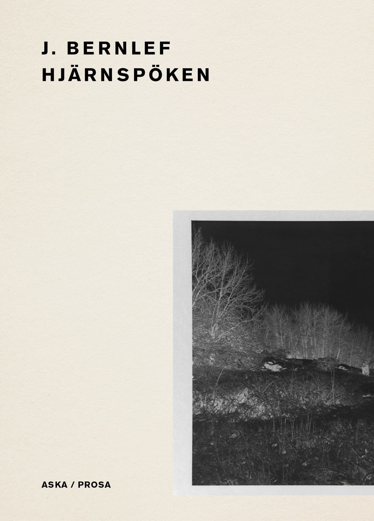 Hjärnspöken