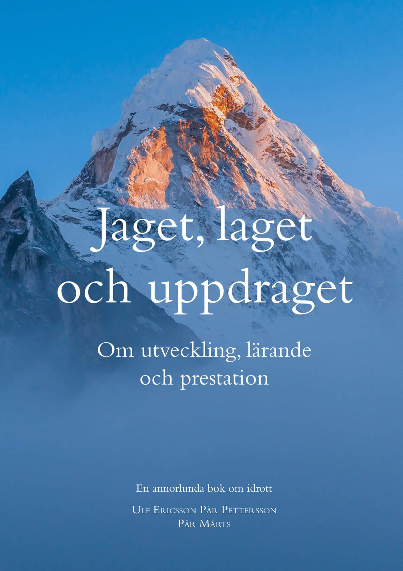 Jaget, laget och uppdraget : Om utveckling, lärande och prestation