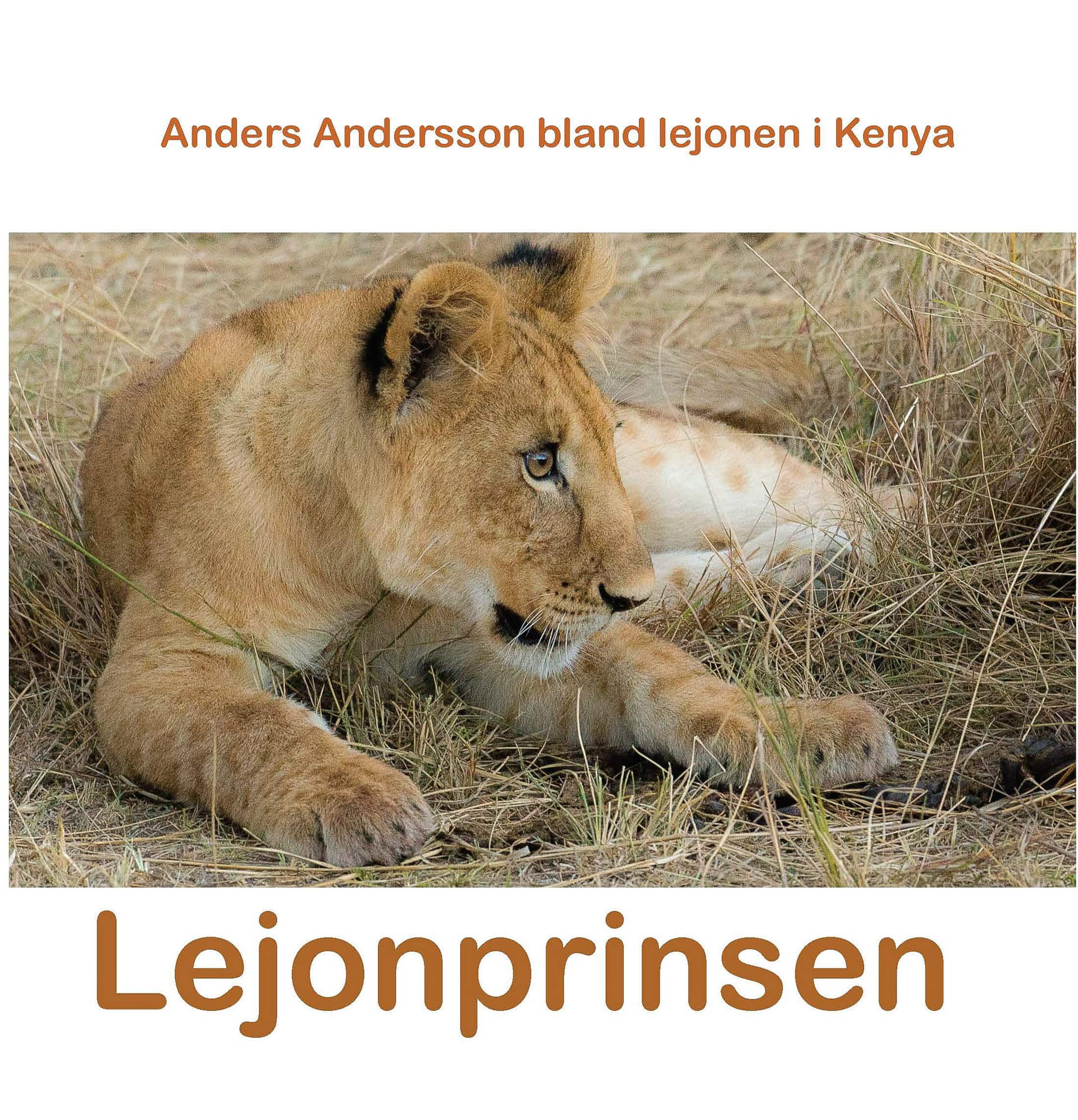 Lejonprinsen av Anders Andersson