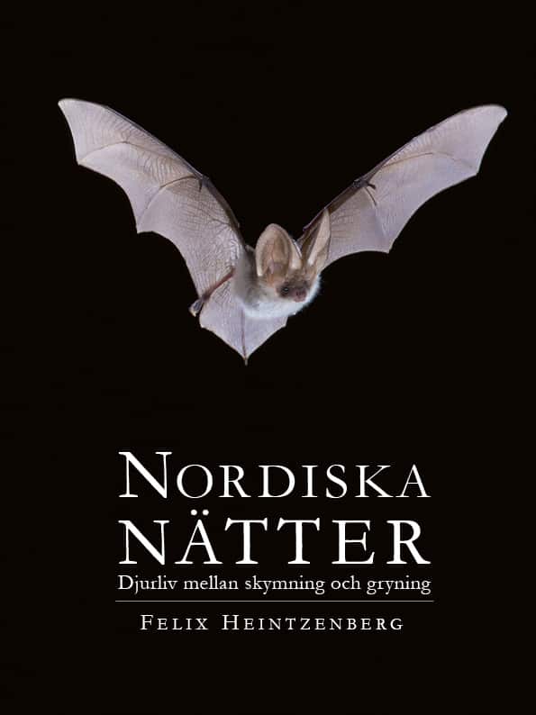 Nordiska Nätter : djurliv mellan skymning och gryning av Felix Heintzenberg