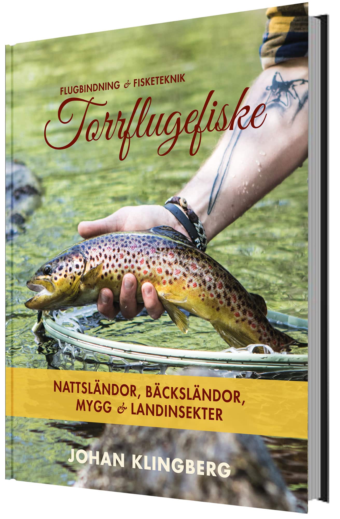 Torrflugefiske: Nattsländor, bäcksländor, mygg och landinsekter av Johan Klingberg