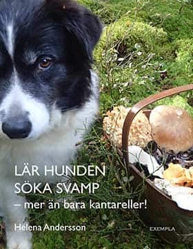 Lär hunden söka svamp - mer än bara kantareller! av Helena Andersson