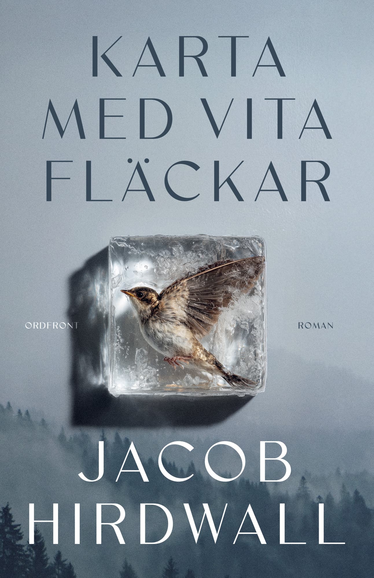 Karta med vita fläckar