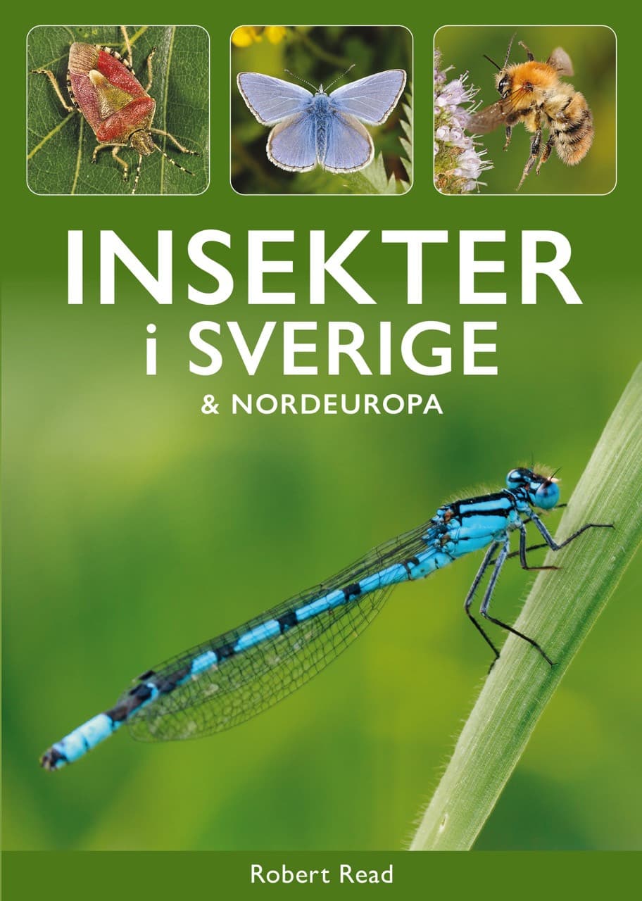 Insekter i Sverige och Nordeuropa
