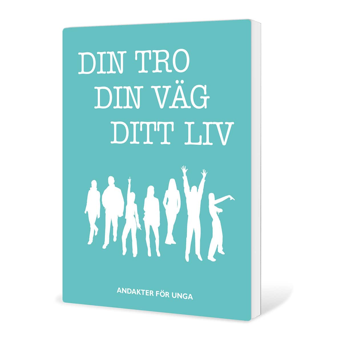 Din tro, din väg, ditt liv av Anna Borneling