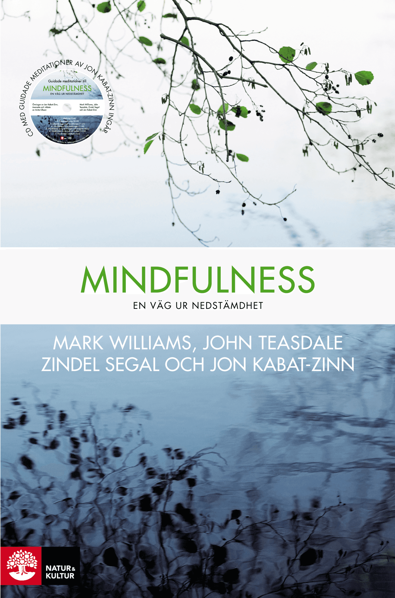 Mindfulness : en väg ur nedstämdhet av Mark Williams