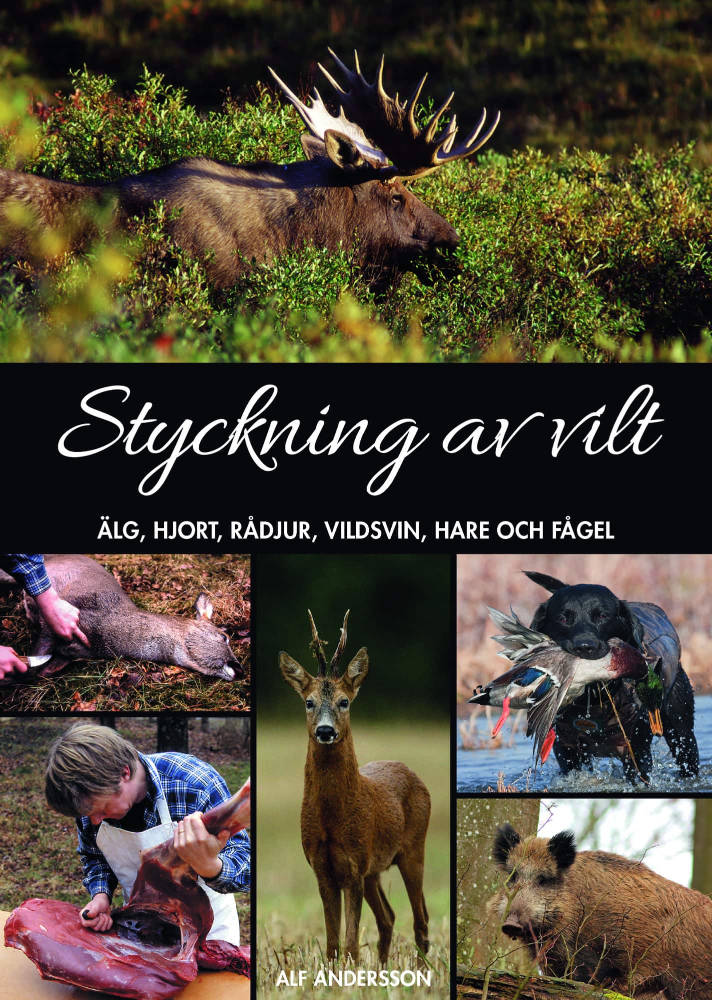 Styckning av vilt : älg, hjort, rådjur, vildsvin, hare och fågel av Alf Andersson
