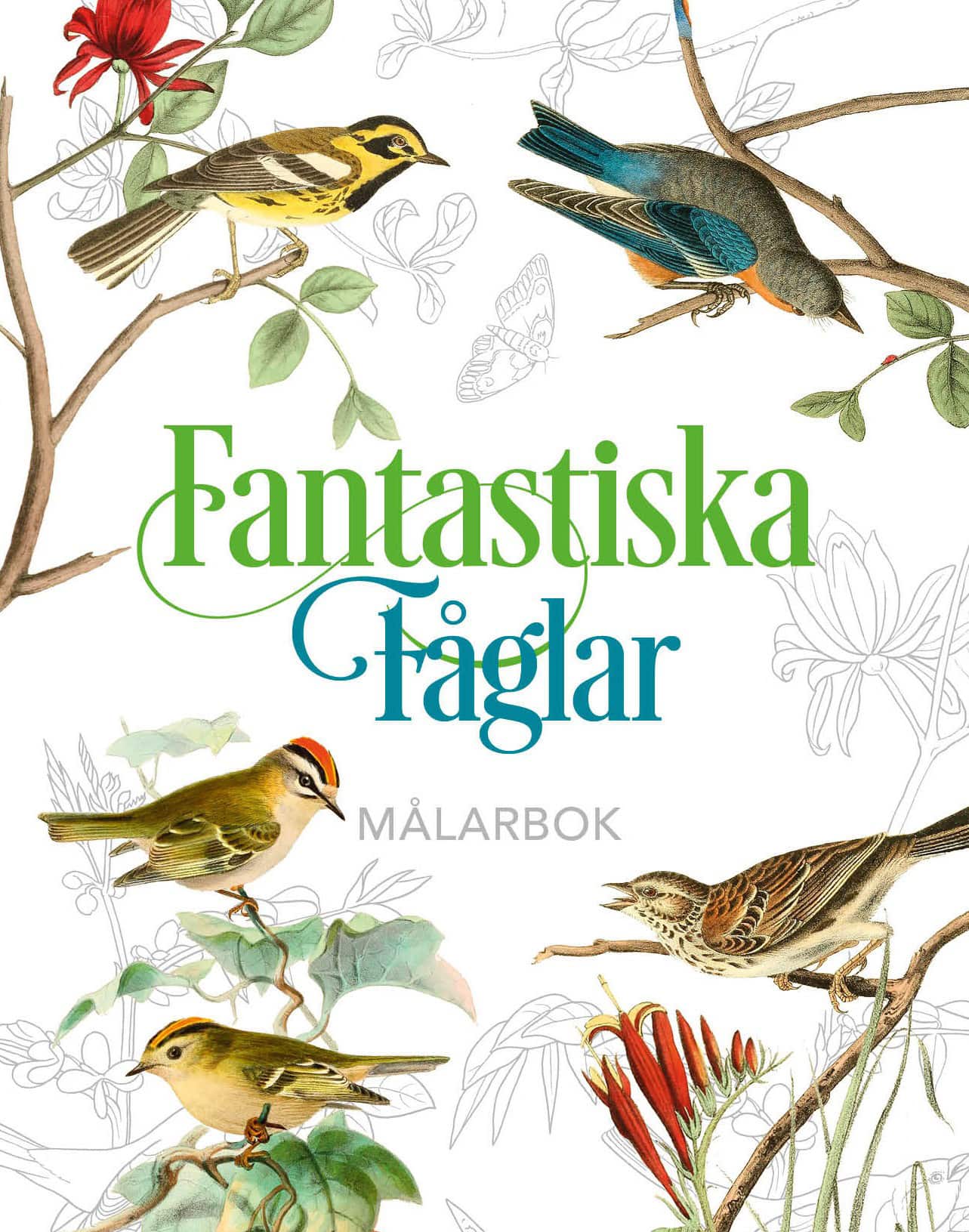 Fantastiska fåglar - målarbok av Birgitta Melén