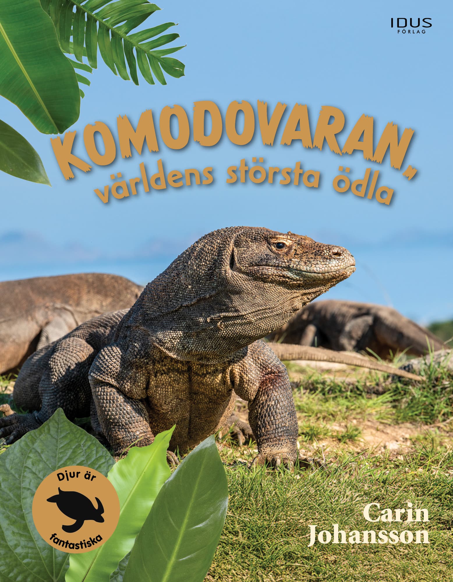 Komodovaran, världens största ödla