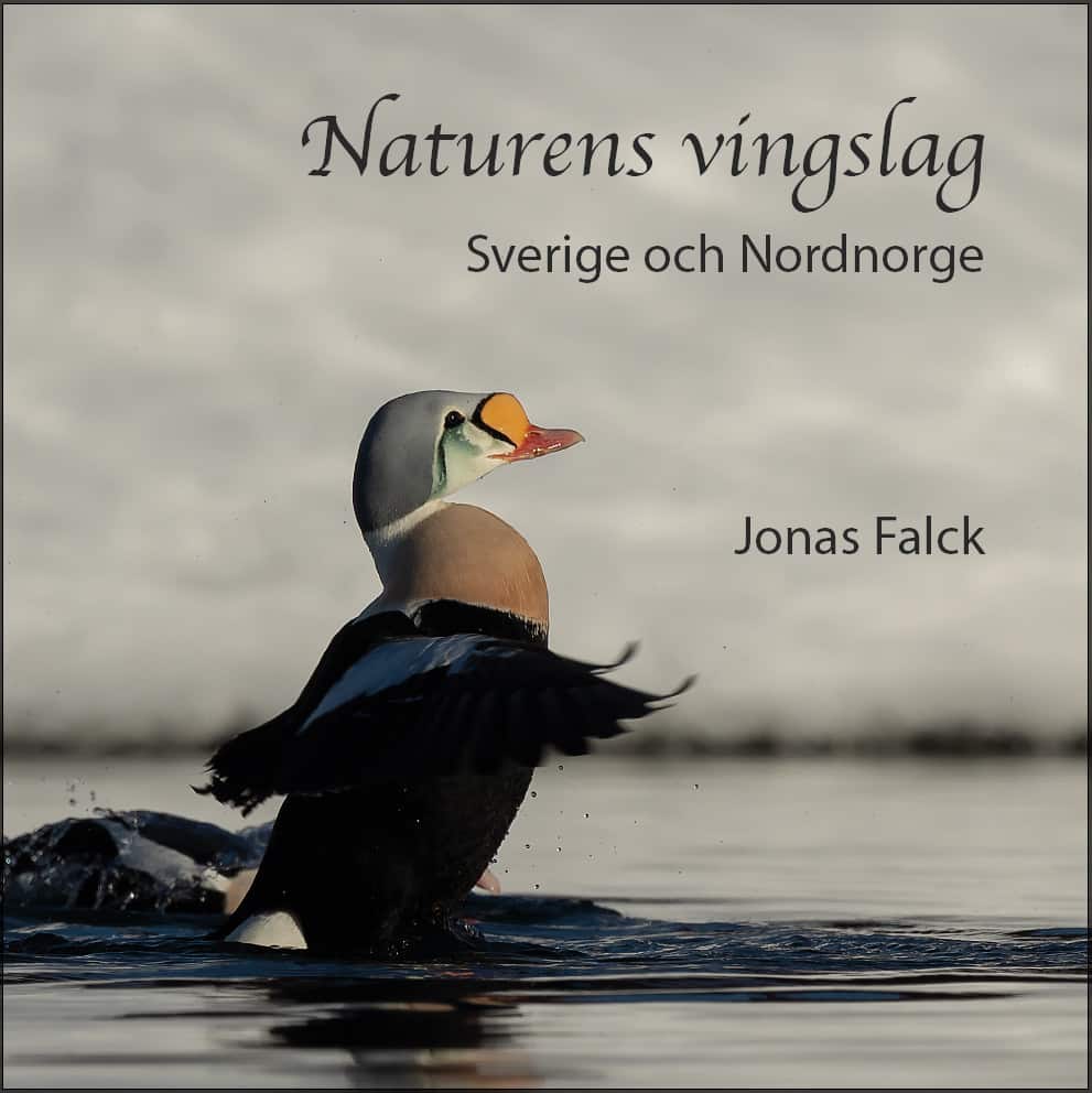 Naturens vingslag – Sverige och Nordnorge av Jonas Falck