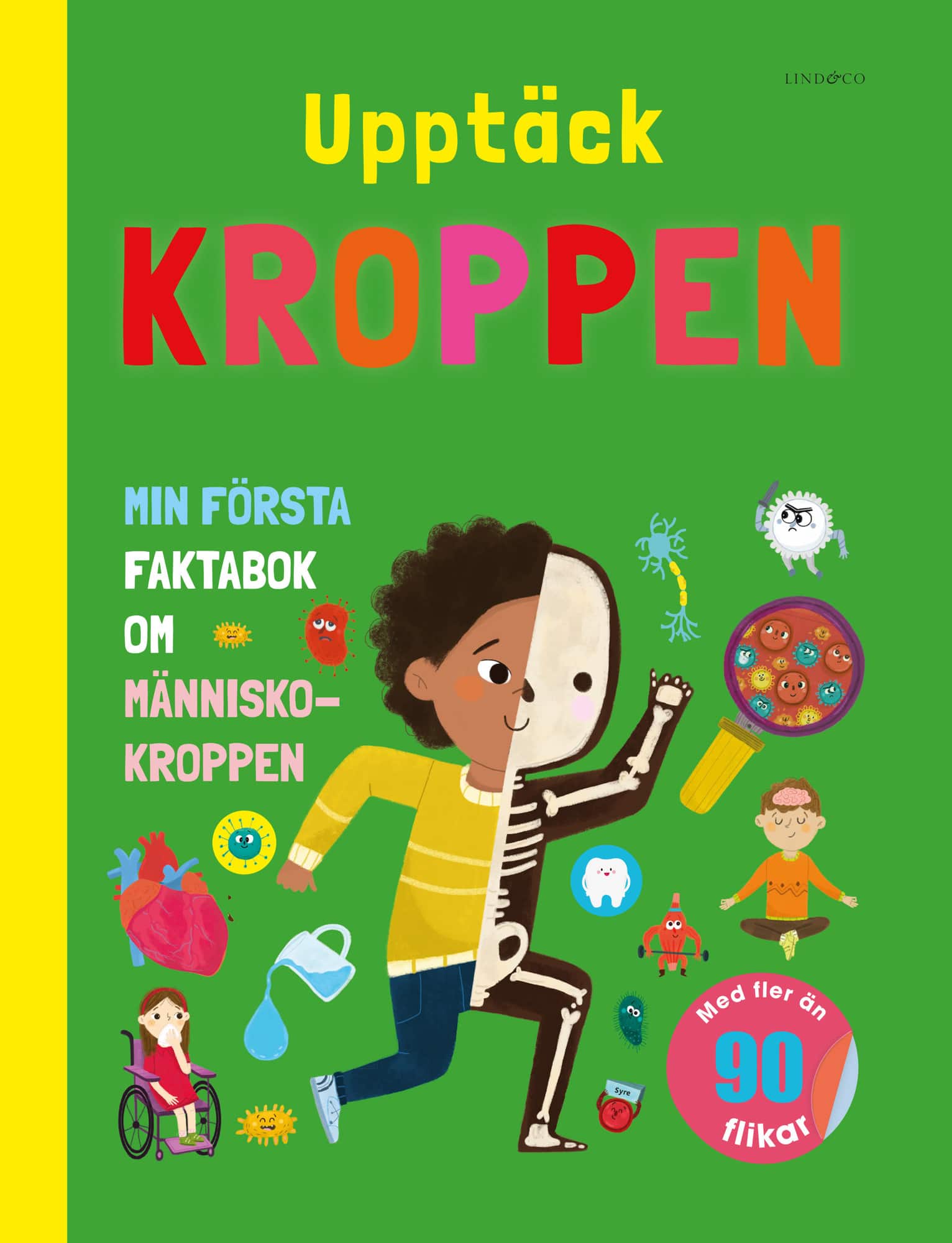 Upptäck kroppen : min första faktabok om människokroppen av Punam Krishan