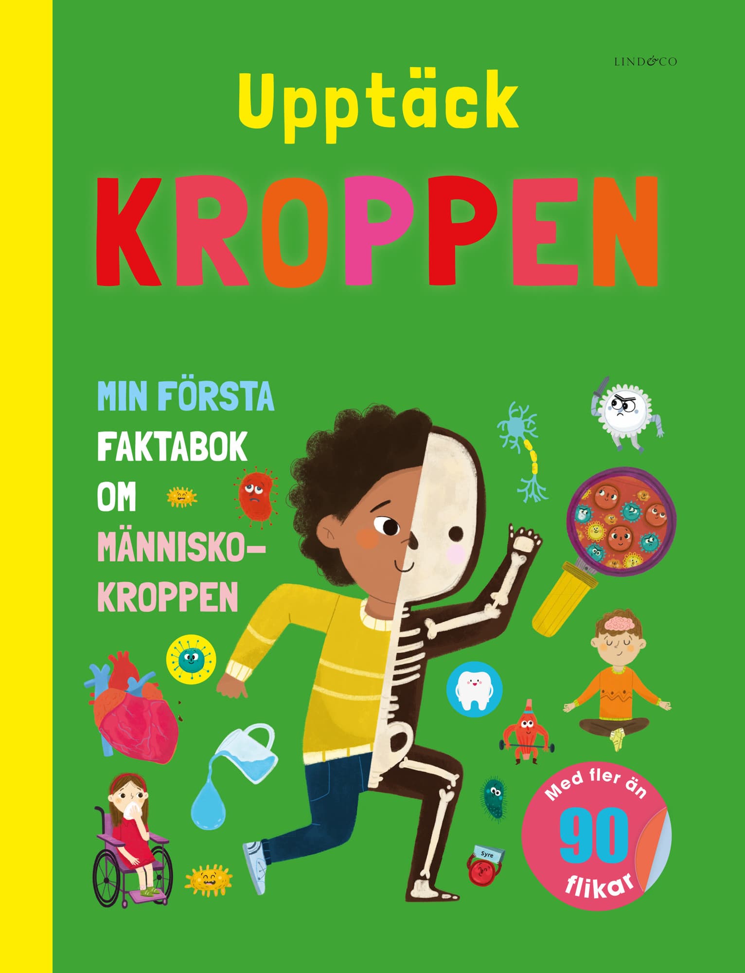 Upptäck kroppen : min första faktabok om människokroppen