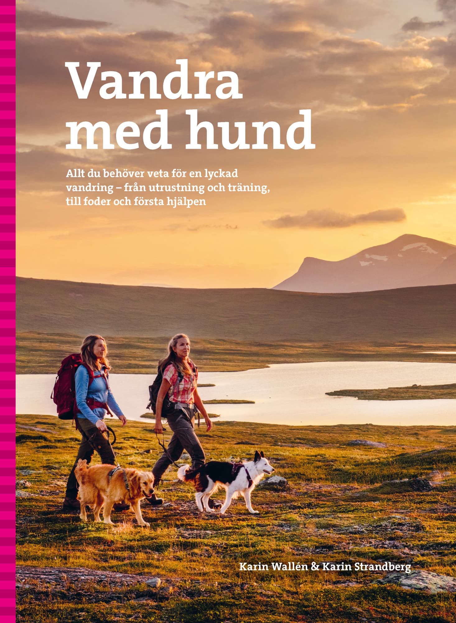 Vandra med hund