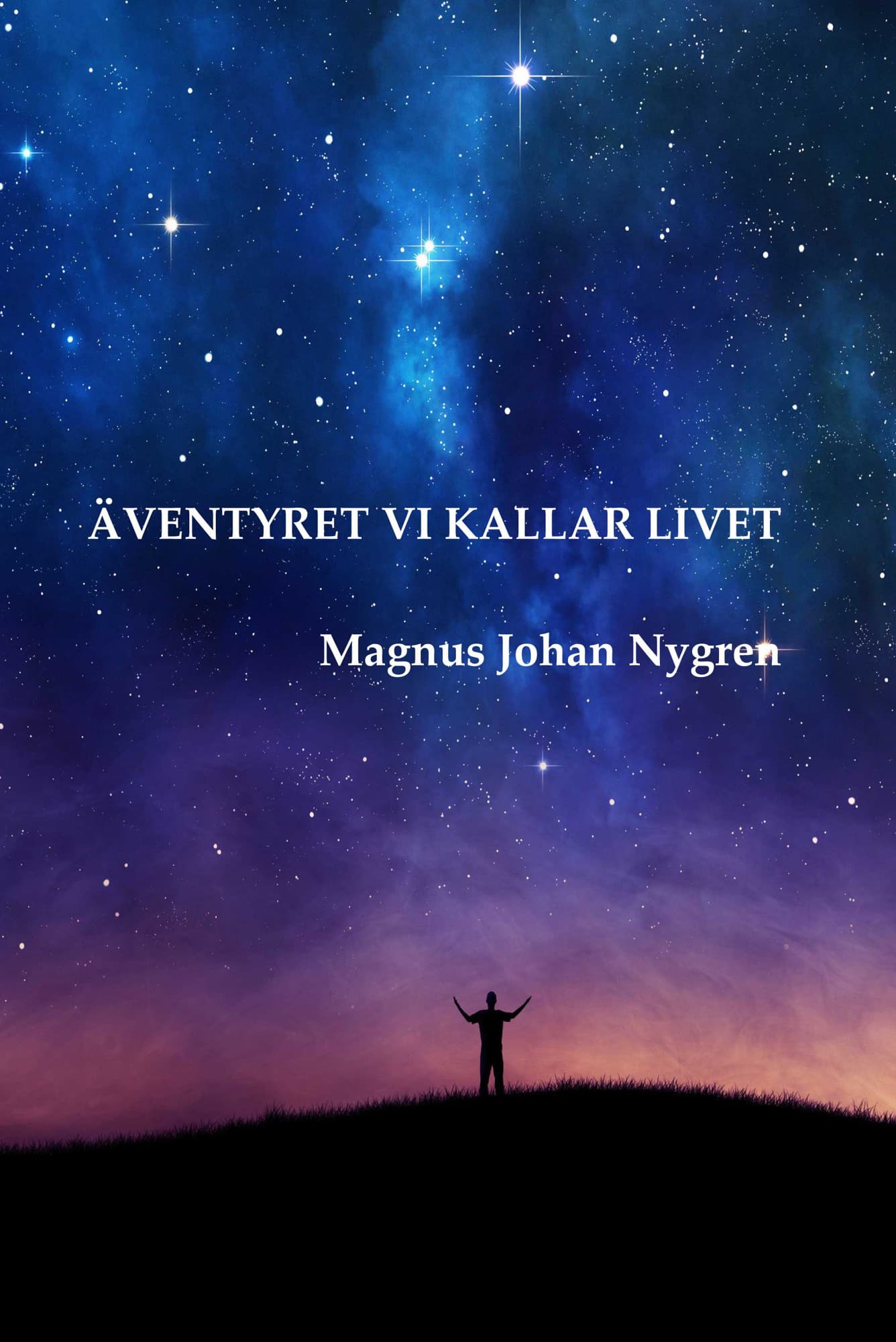 Äventyret vi kallar livet