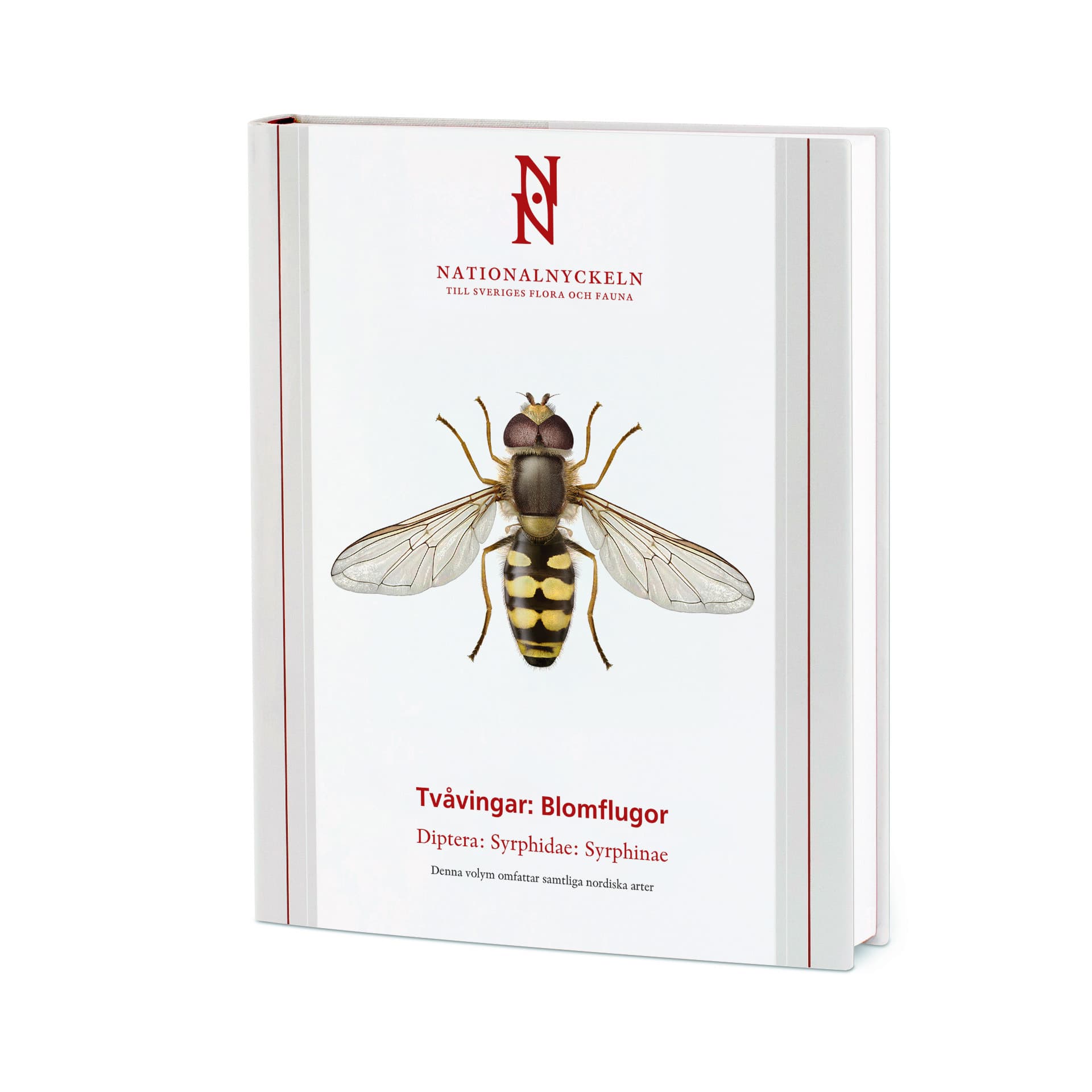 Tvåvingar : blomflugor. Diptera : syrphidae: syrphinae