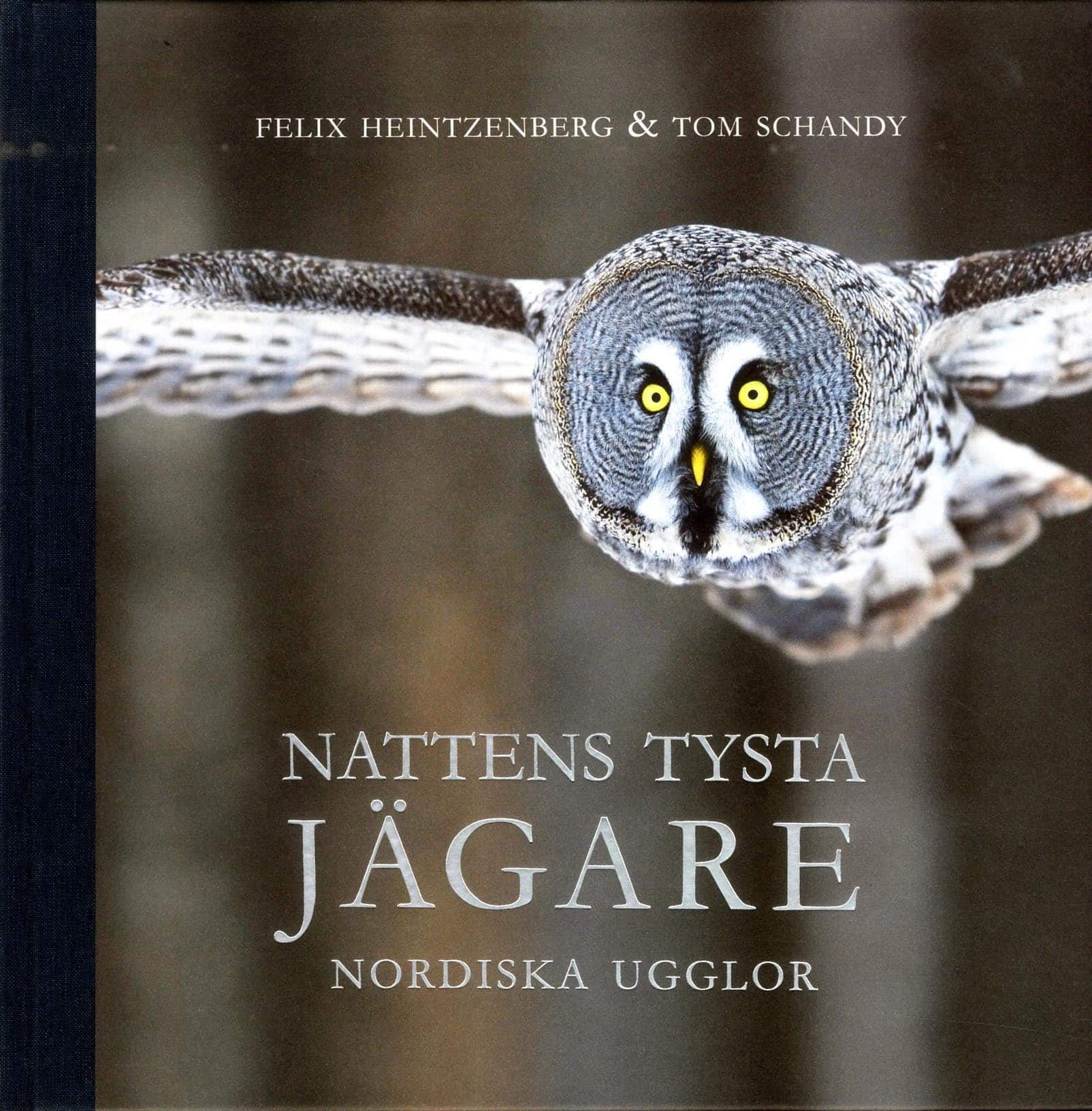 Nattens tysta jägare : nordiska ugglor av Tom Schandy