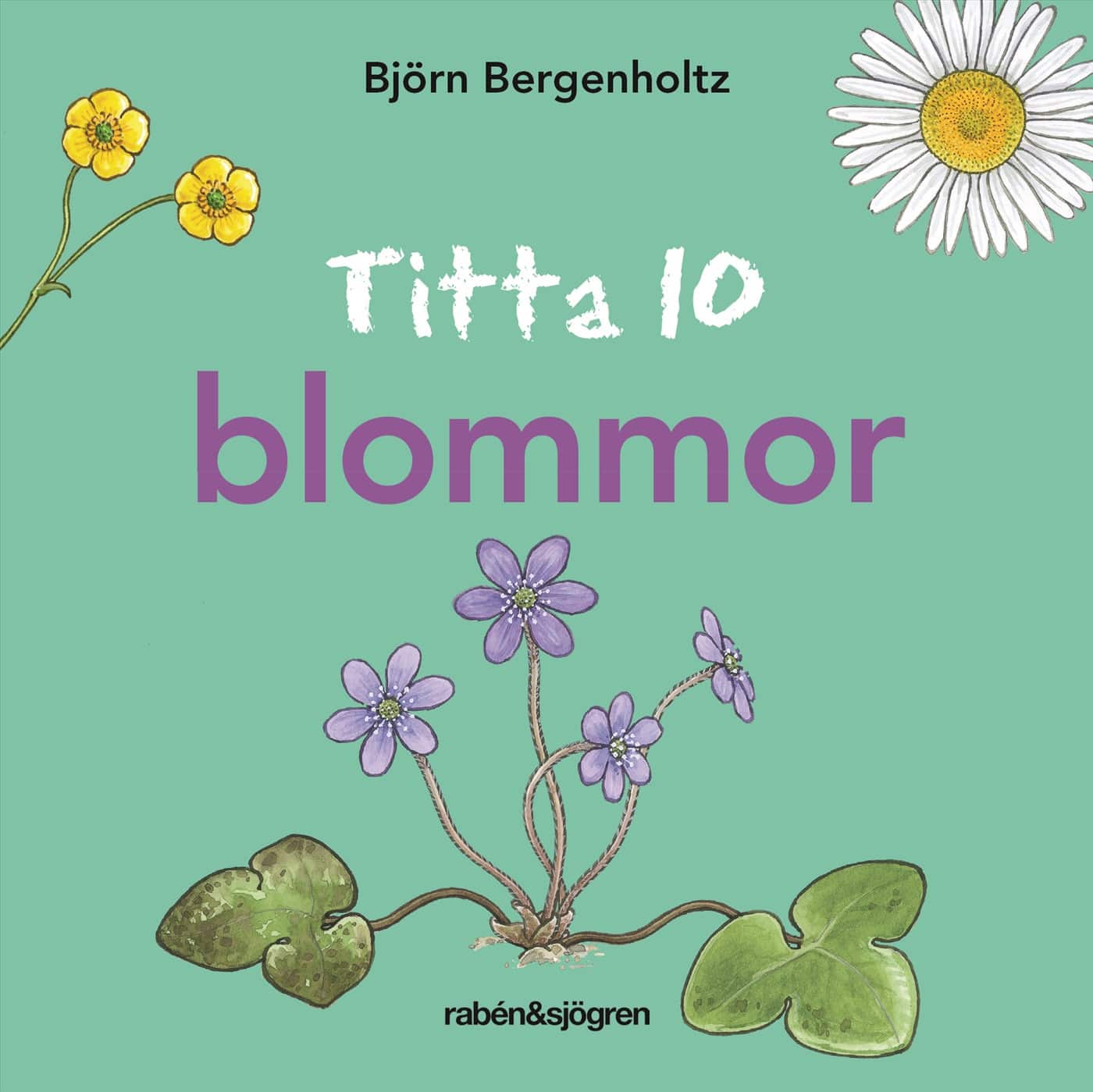 Titta 10 blommor av Björn Bergenholtz