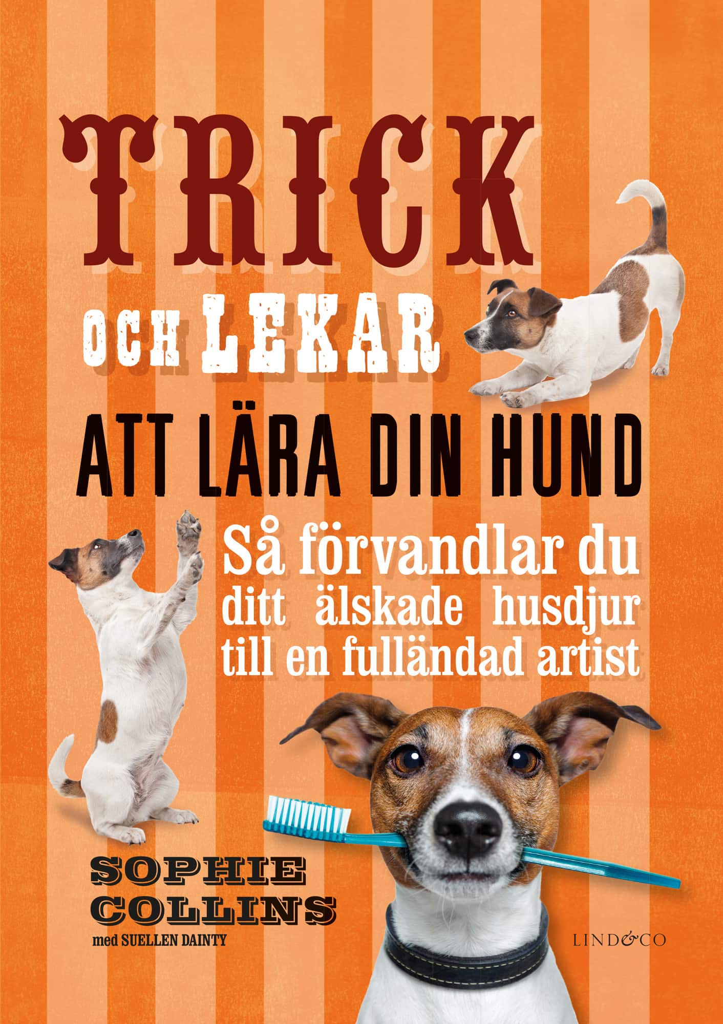 Trick och lekar att lära din hund : så förvandlar du ditt älskade husdjur.. av Sophie Collins