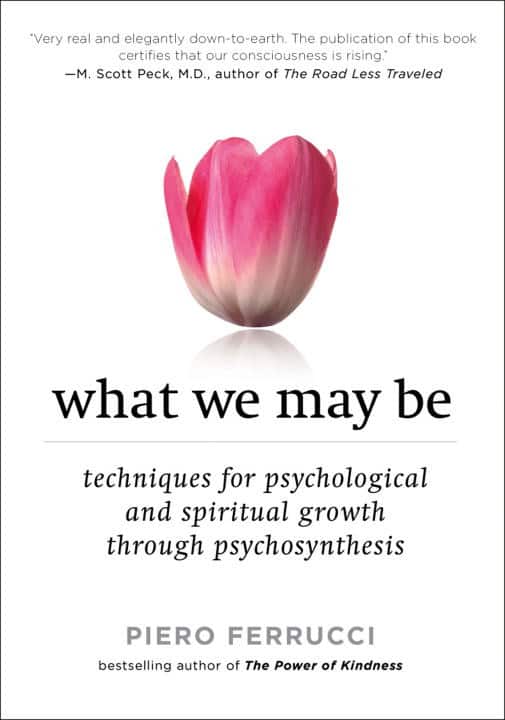 What We May Be: Techniques For Psychological & Spiritual Growth Through Psychosynthesis (New Edition av Piero Ferrucci