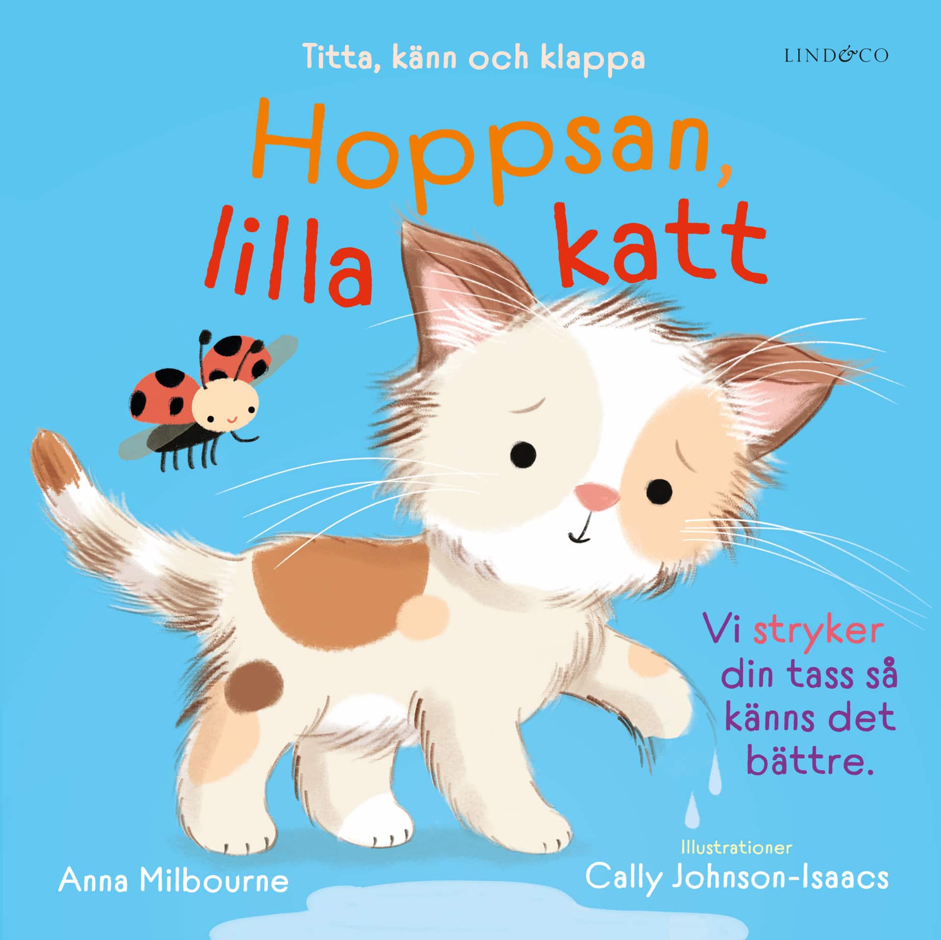 Hoppsan, lilla katt : titta, känn och klappa av Anna Milbourne
