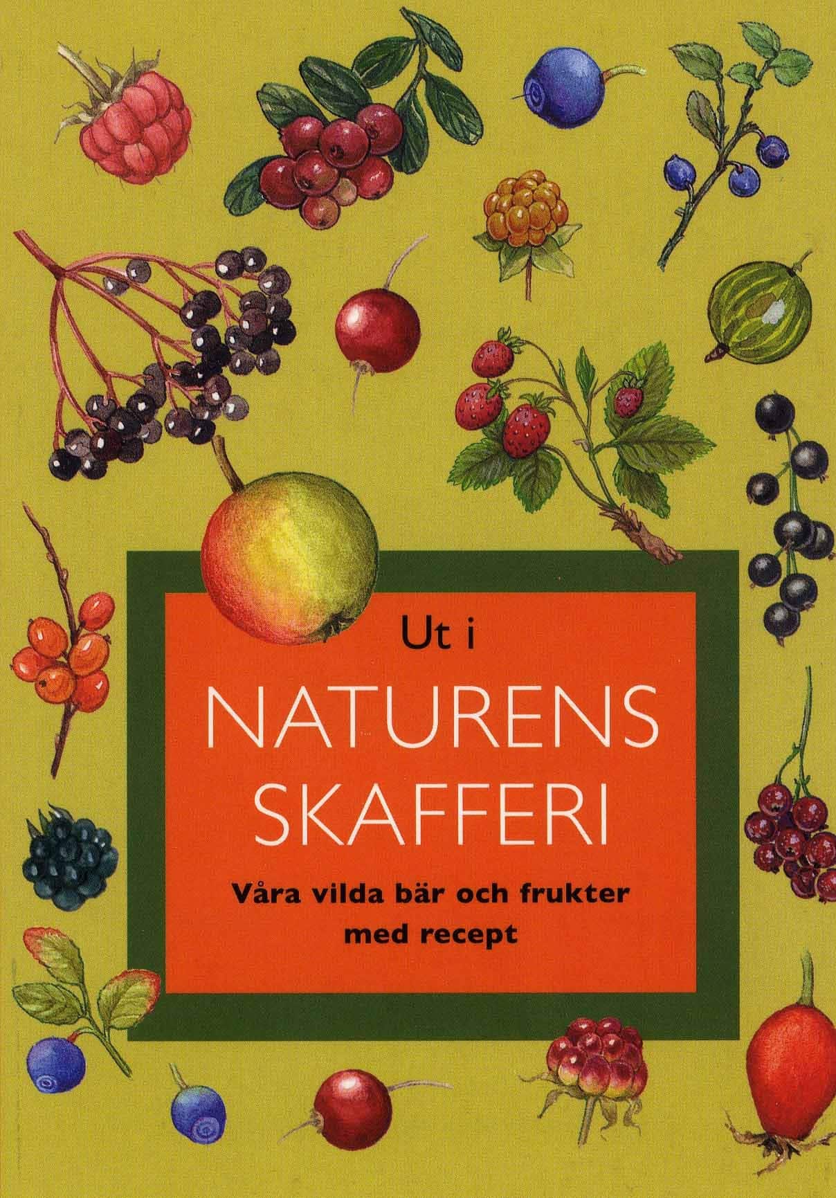 Ut i naturens skafferi : våra vilda bär och frukter med recept av Gunnevi Bonekamp