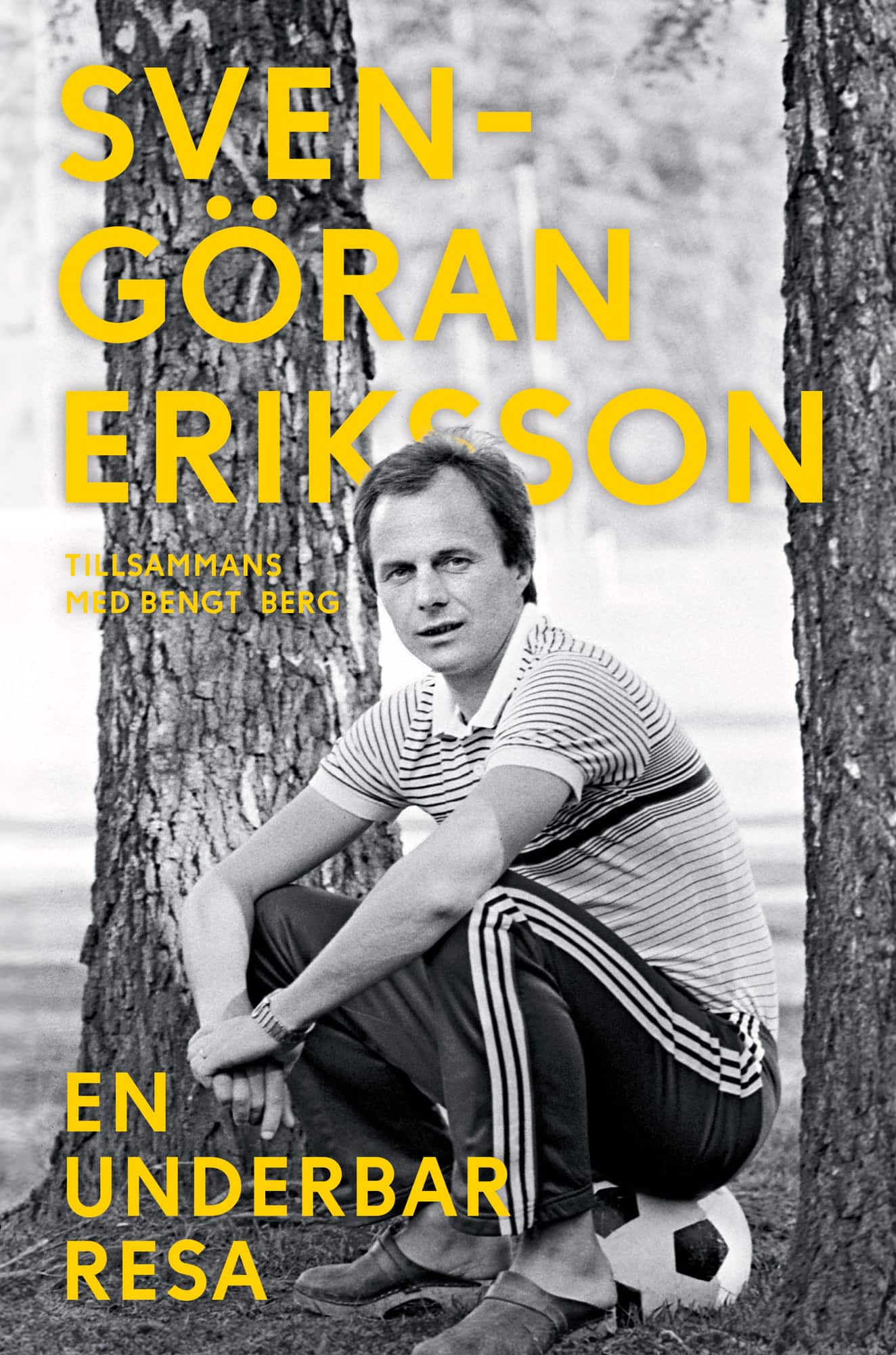 En underbar resa av Bengt Berg