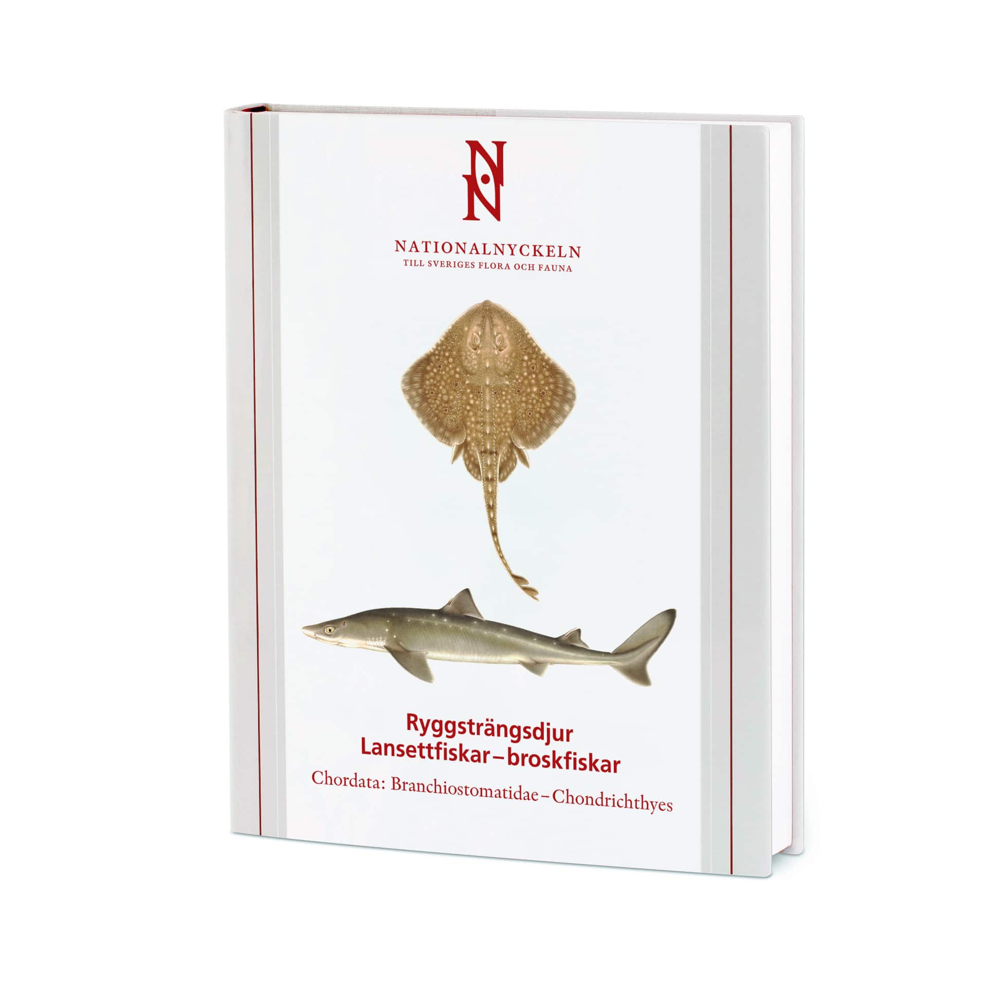 Ryggsträngsdjur : lansettfiskar - broskfiskar. Chordata : branchiostomatidae - chondrichthyes av Sven O. Kullander