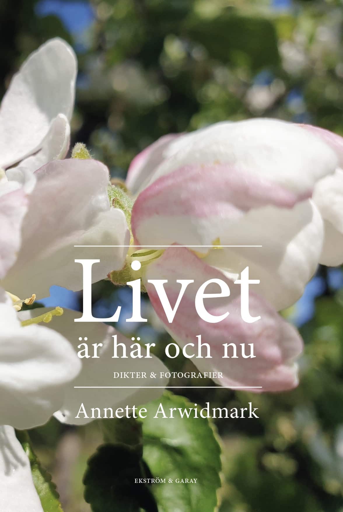 Livet: är här och nu av Annette Arwidmark