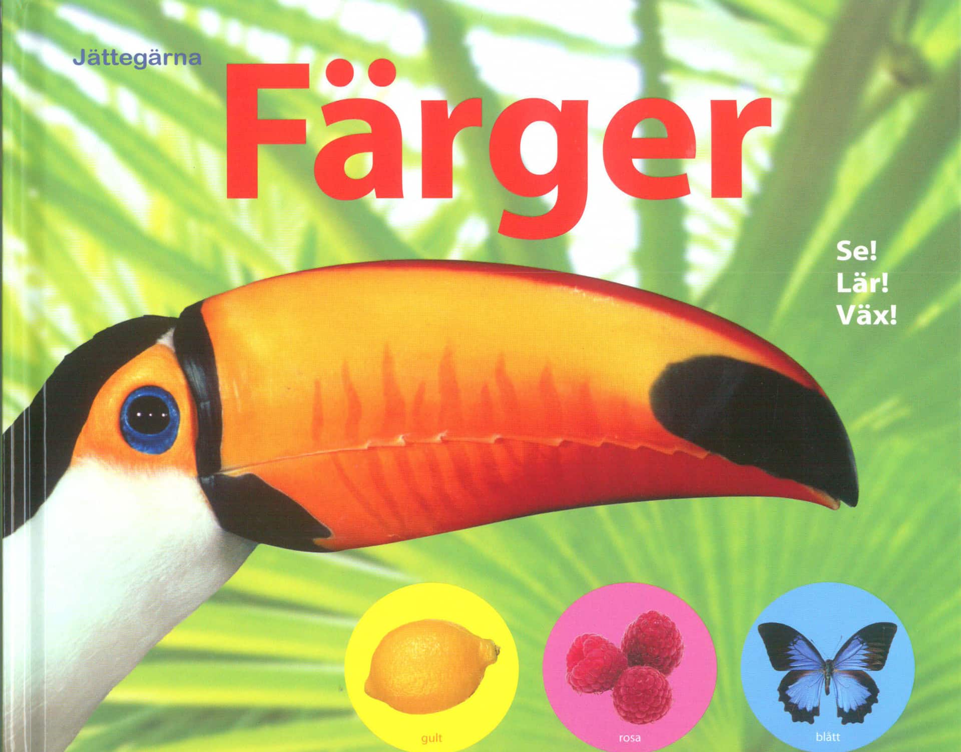 Jättegärna : Färger av Annika Sternö Anderberg