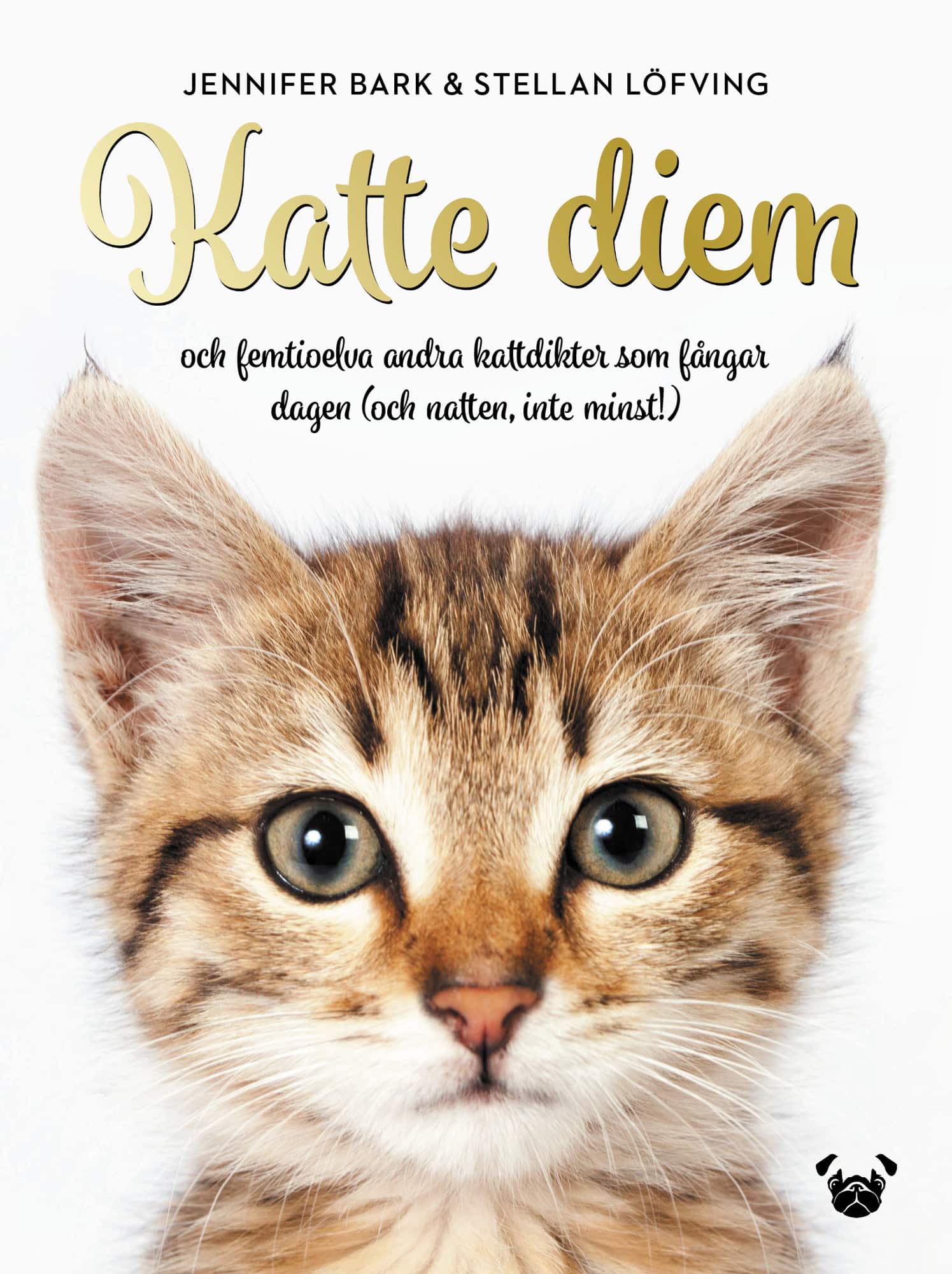 Katte Diem : och femtioelva andra kattdikter som fångar dagen (och natten, inte minst!) av Jennifer Bark