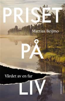 Priset på liv : värdet av en far av Mattias Beijmo