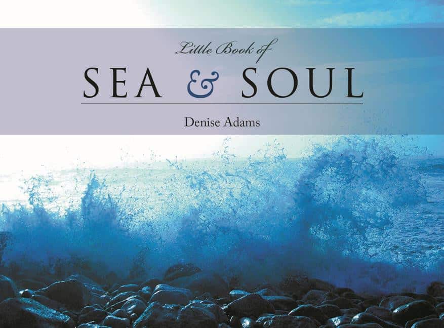 The Little Book of Sea & Soul av Adams Denise