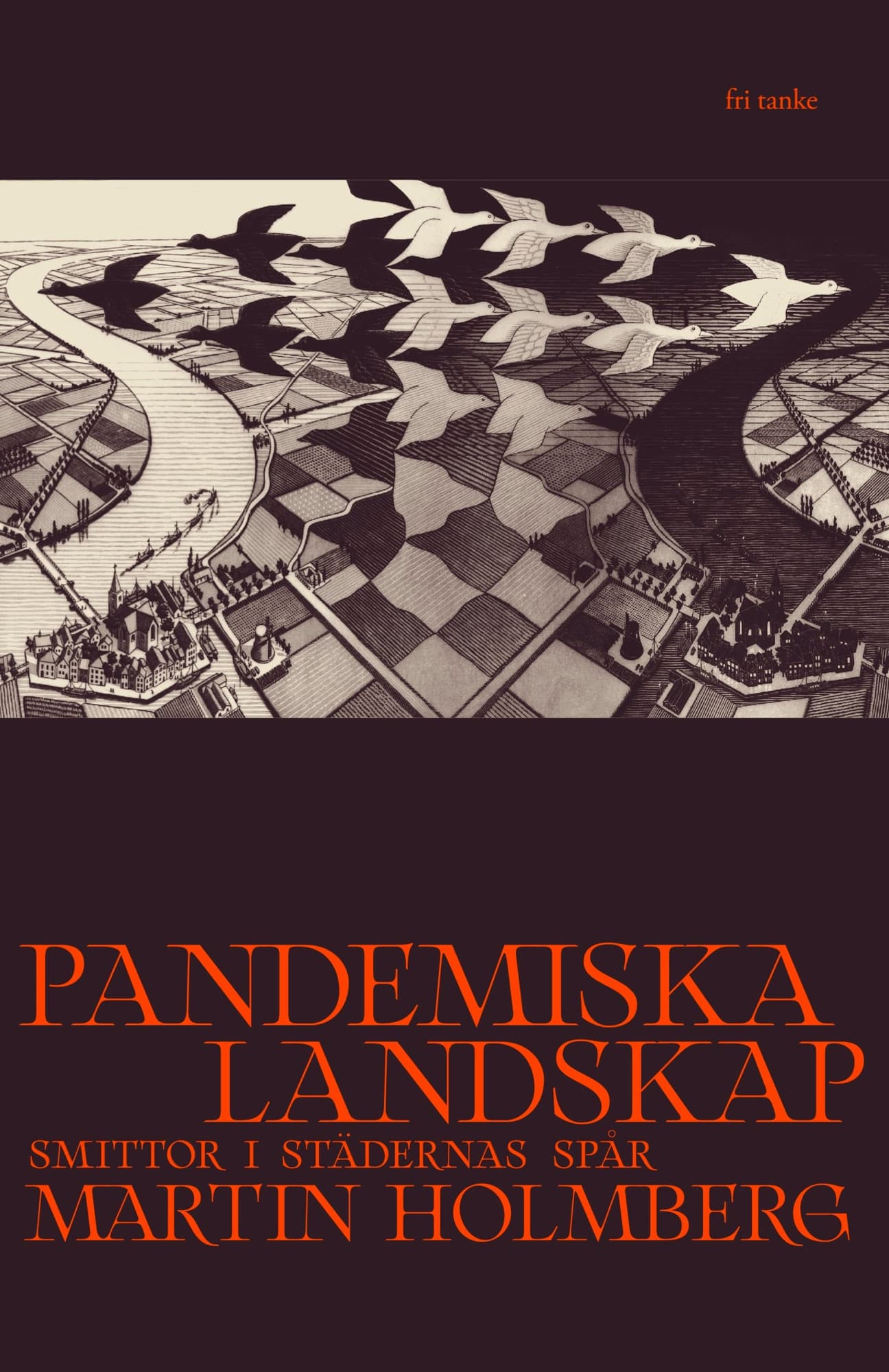 Pandemiska landskap : smittor i städernas spår