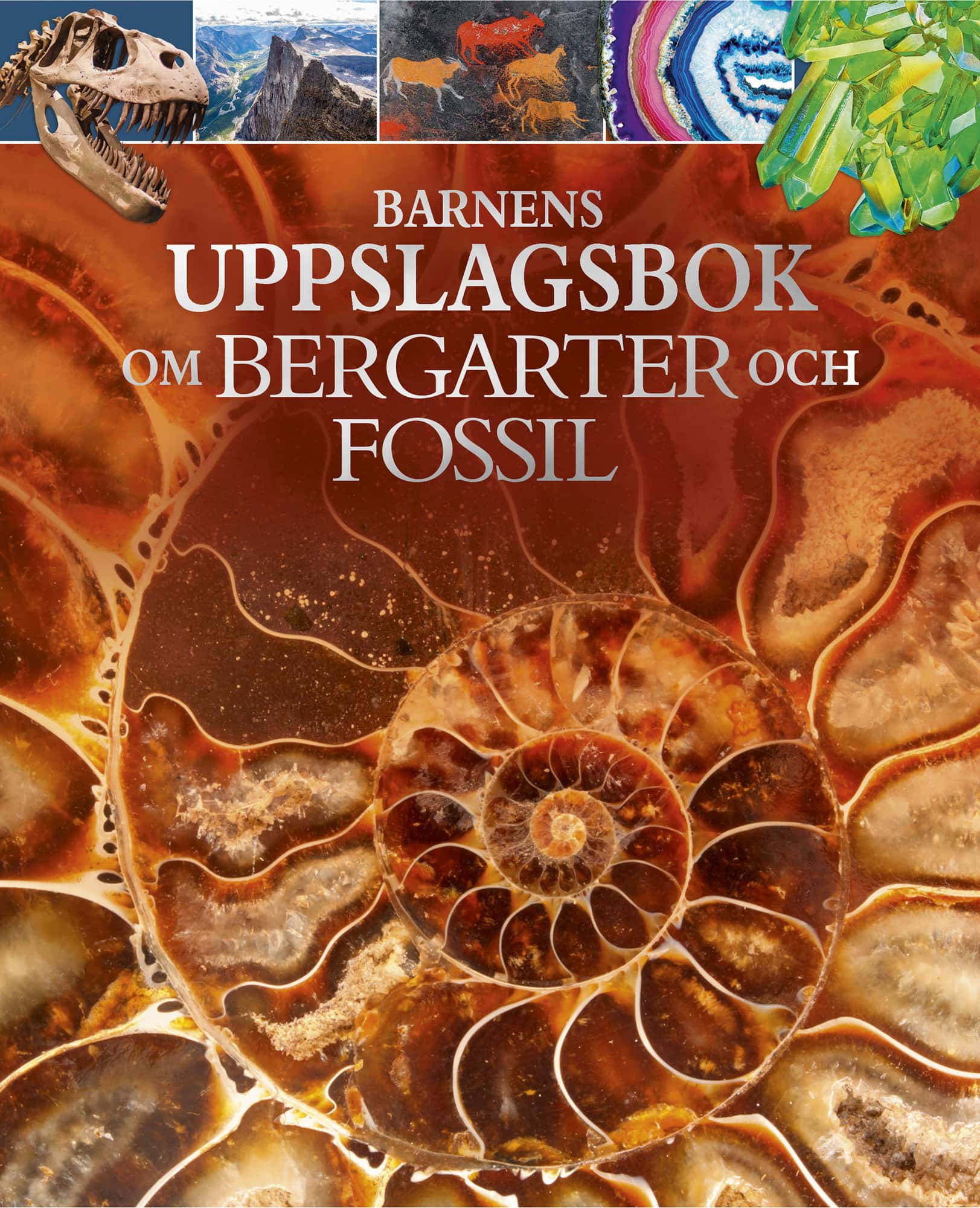 Barnens uppslagsbok om bergarter och fossil av Claudia Martin