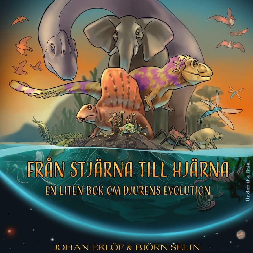 Från stjärna till hjärna : en liten bok om djurens evolution av Johan Eklöf