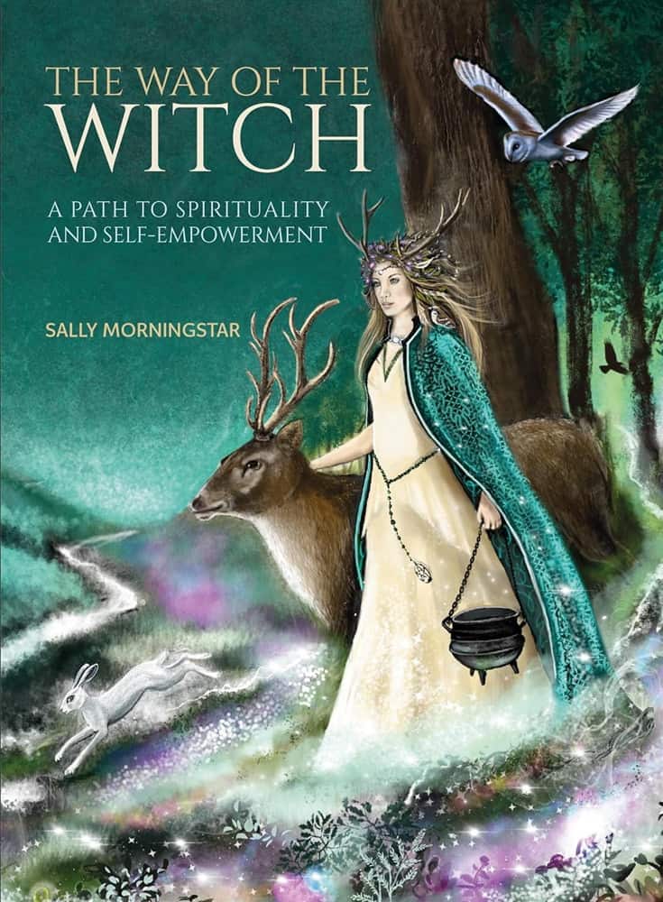 Way of the Witch av Morningstar Sally