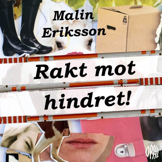 Rakt mot hindret! av Malin Eriksson