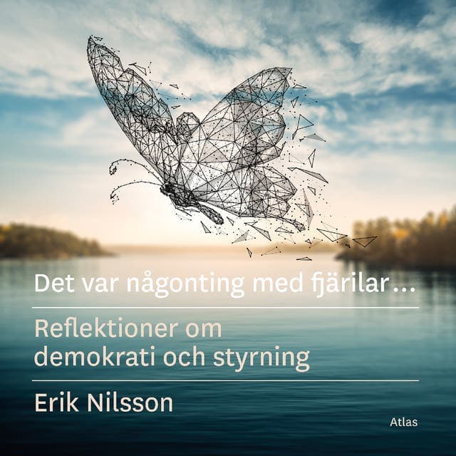 Det var någonting med fjärilar : reflektioner om demokrati och styrning av Erik Nilsson