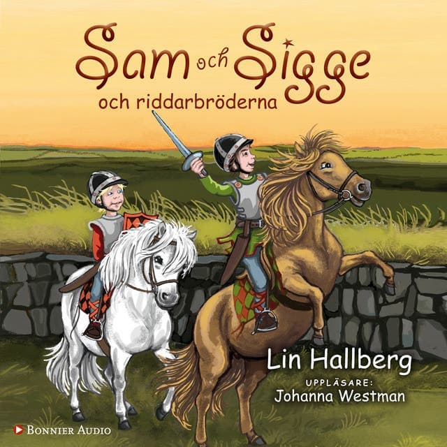 Sam och Sigge och riddarbröderna av Lin Hallberg