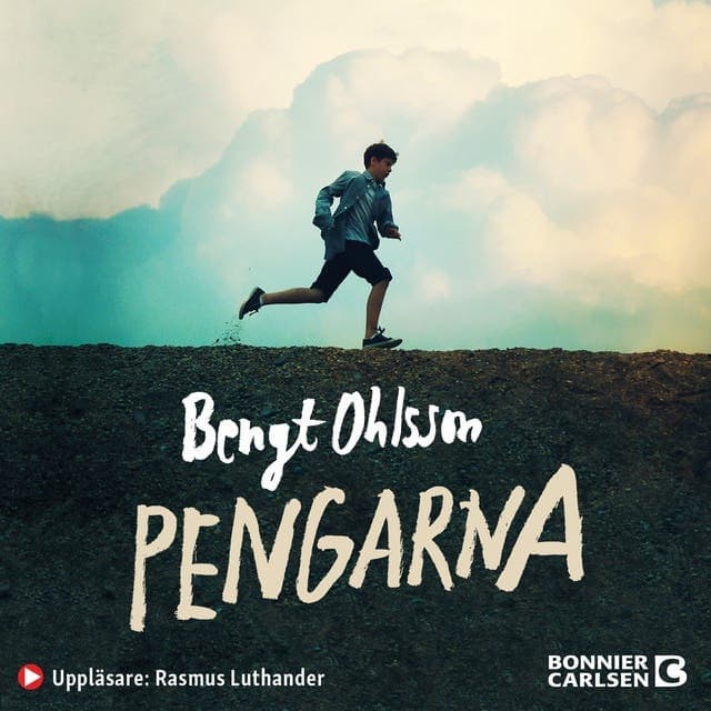 Pengarna av Bengt Ohlsson